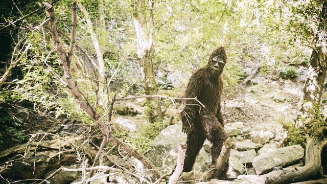 Insane Bigfoot Sighting Story Goes Viral: DETAILS