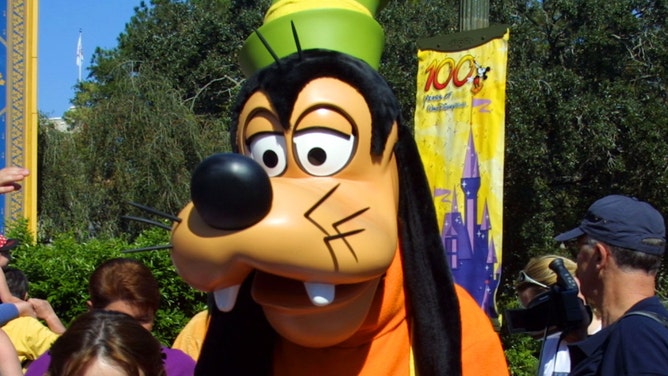 Grandma Accused Of Groping Goofy At Walt Disney World