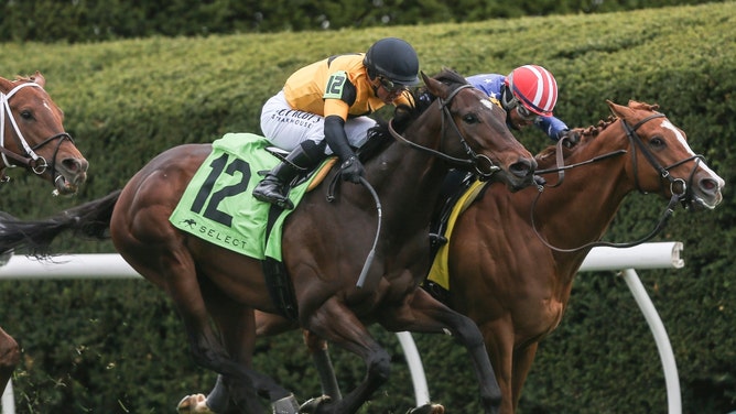 The 6-horse in the American Turf Stakes on Kentucky Derby Day 2024, Neat, on the inside rail, noses out the challenger, Cugino, at the Transylvania Stakes in Lexington, Kentucky.
(Matt Stone/The Courier Journal/USA TODAY NETWORK)