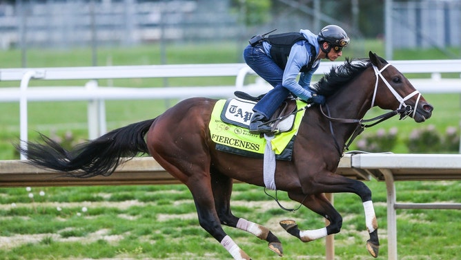 Kentucky Derby contender Fierceness works with jockey John Velazquez during training Friday morning at Churchill Downs in Louisville. (Matt Stone/The Courier Journal / USA TODAY NETWORK)
