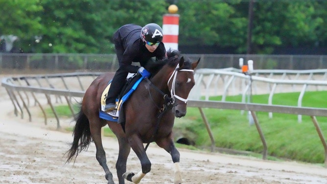 Catching Freedom trains for the second leg of the 2024 Triple Crown at Pimlico Race Course in Baltimore, Maryland.(Mitch Stringer-USA TODAY Sports)