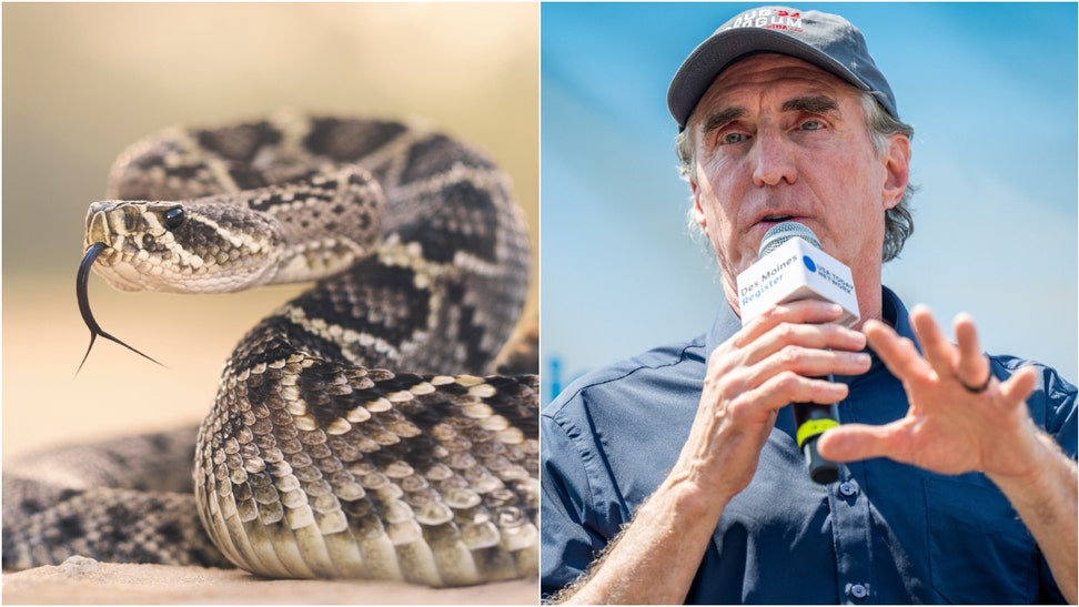 North Dakota Governor Doug Burgum has no problem killing snakes. Watch a video of him explaining how to properly kill a rattlesnake if you don't have a weapon. (Credit: Getty Images)