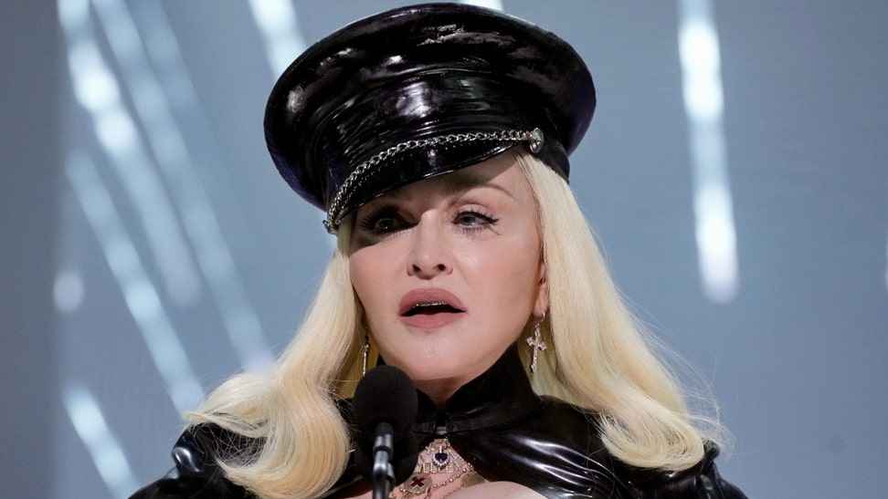 madonna sued fan pornography without warning concert