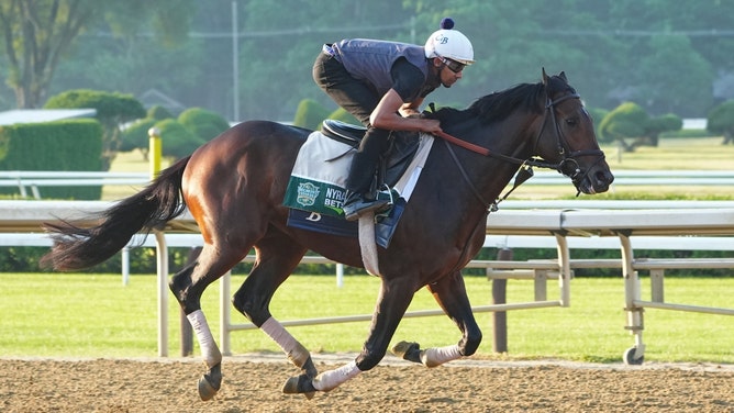 Belmont Stakes contender Sierra Leone trains at Saratoga Race Course. (Gregory Fisher-USA TODAY Sports)