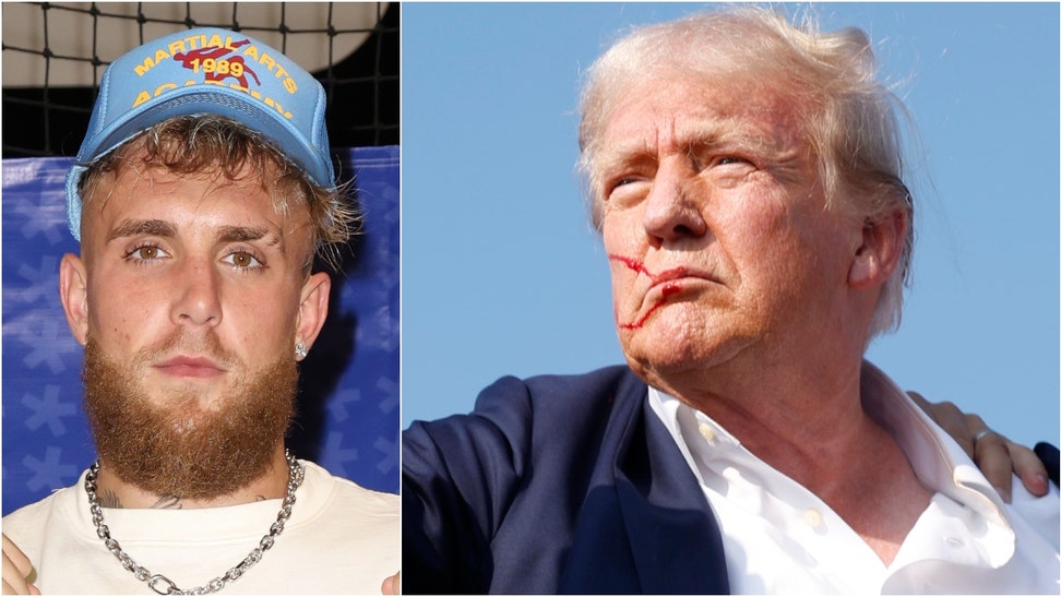 Jake and Logan Paul are willing to pay up to $12 million for the hat Donald Trump wore when he was shot. Watch a video of their comments. (Credit: Getty Images)