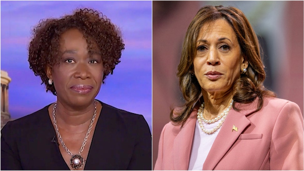 Joy Reid unloaded a bizarre rant claiming black people aren't for “the culture” if they don't support Kamala Harris. Watch a video of her comments. (Credit: Getty Images)
