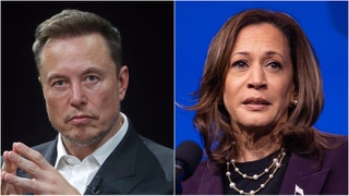 Elon Musk shares Kamala Harris communism meme. (Credit: Getty Images)