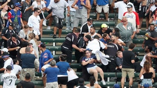 cubs white sox fans fight crosstown series