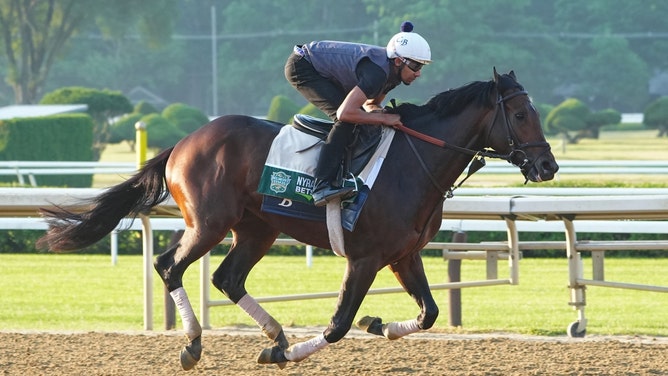 The #2 in the 2024 Travers Stakes, Sierra Leone, trains at Saratoga Race Course in New York. (Gregory Fisher-USA TODAY Sports)