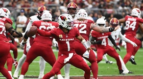 arizona cardinals fans brawl during washington commanders game