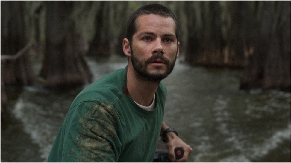 HBO released a preview for the new movie "Caddo Lake." Watch a trailer for the film from M. Night Shyamalan. When does the movie come out? What is the plot? (Credit: HBO)