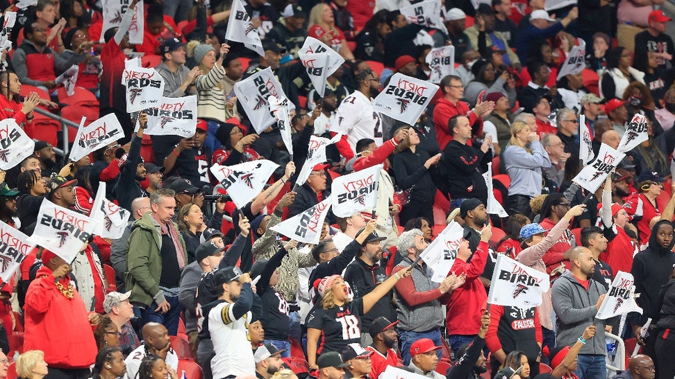 falcons fans fight knockout