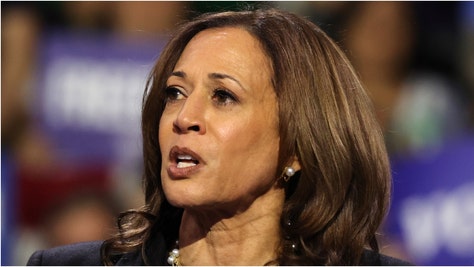 Democrats savagely roasted after simple tweet about Kamala Harris' birthday. (Credit: Getty Images) 