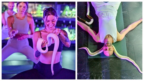 snake yoga