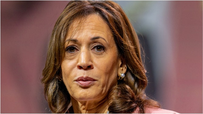 Kamala Harris roasted after claiming she owns a handgun. (Credit: Getty Images)