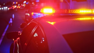 cook county elected official samantha steele officer penis size dui arrest