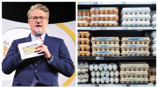 JOE SCARBOROUGH EGGS