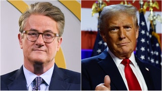 "Morning Joe" featured wild comments after Donald Trump beat Kamala Harris to become President. Watch the segment with Al Sharpton. (Credit: Getty Images)