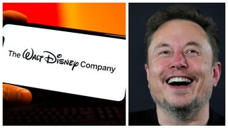 DISNEY ELON MUSK