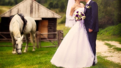 horse farts repeatedly during wedding