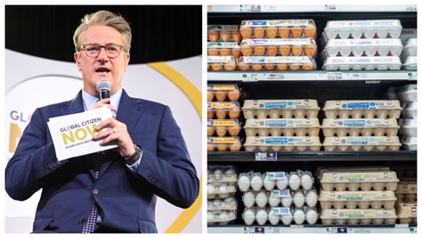 JOE SCARBOROUGH EGGS