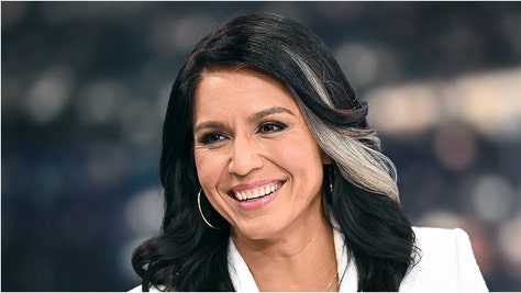 Watch videos of Tulsi Gabbard shooting guns. Watch viral videos of Gabbard with a variety of different firearms. (Credit: Getty Images)