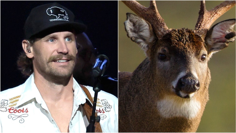 Country music star Chase Rice killed a massive buck. See a photo of the deer. (Credit: Getty Images)