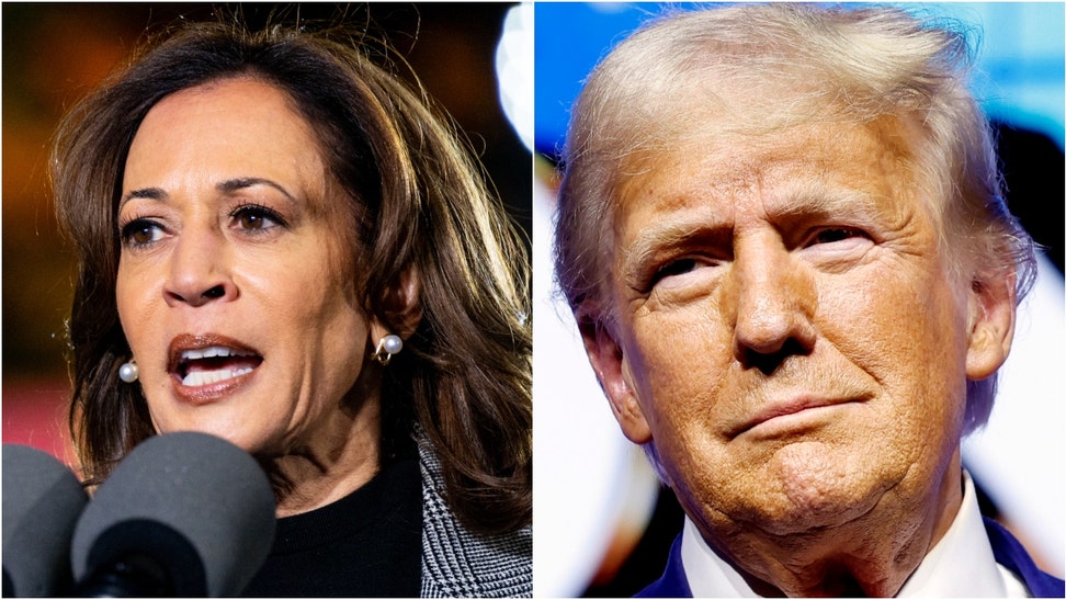 Comedian Andrew Schulz and Charlamagne Tha God reacted to Donald Trump beating Kamala Harris. Watch a video of their comments. (Credit: Getty Images)