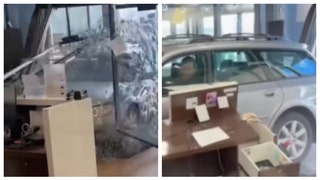 utah man crashes vehicle through car dealership's front doors