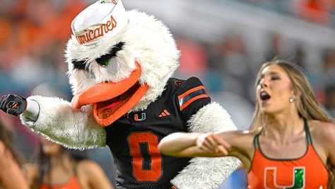 miami hurricanes sascot sebastian the ibis hit on syracuse reporter ashley wenskoski