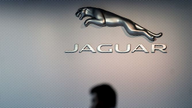 Jaguar