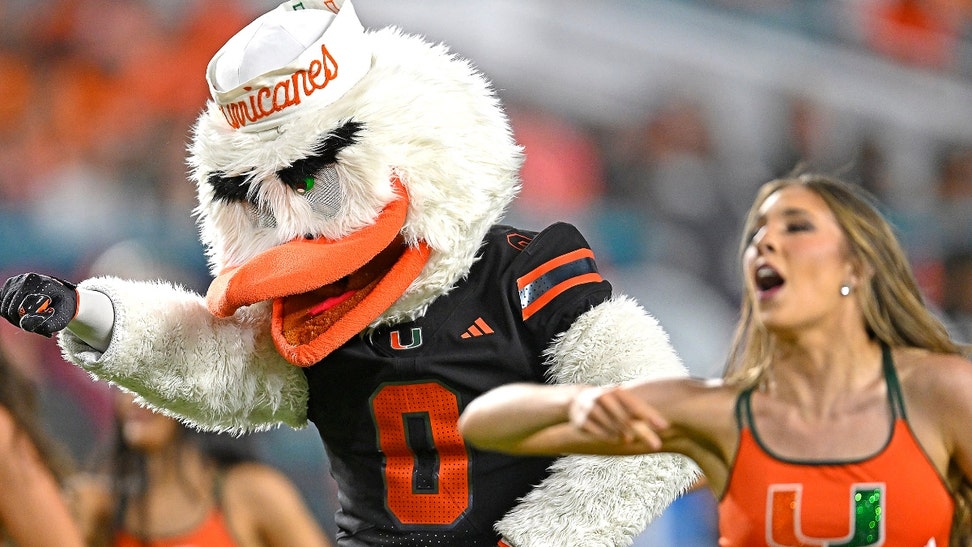 miami hurricanes sascot sebastian the ibis hit on syracuse reporter ashley wenskoski