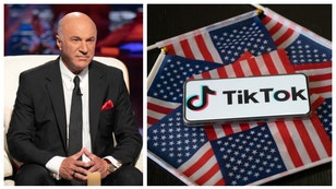 KEVIN O LEARY SHARK TANK TIKTOK