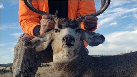 An OutKick reader killed a massive buck, and shared a great photo. What are the details? (Credit: Danny Morton)