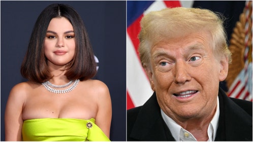 Selena Gomez deleted a video of herself crying about illegal aliens being deported. Watch the video. (Credit: Getty Images)