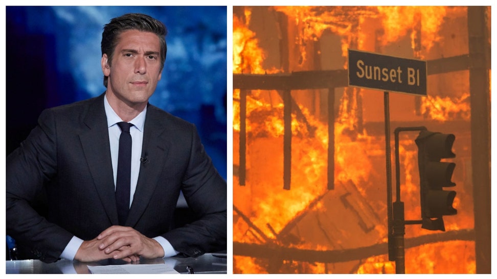 DAVID MUIR WILDFIRES