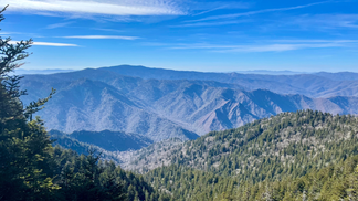 My Favorite Hike In The Great Smoky Mountains: Alum Cave Trail To Mount Le Conte