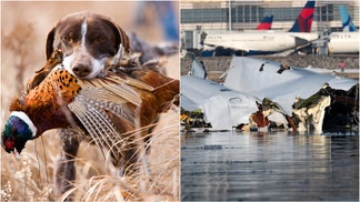An entire hunting group was killed when American Airlines Flight 5342 crashed in Washington, D.C. after hitting a helicopter. What are the details? (Credit: Getty Images)