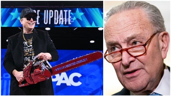 Lyin' Chuck Schumer, Who Has Never Held A Real Job In His Life, Blasted For Elon Musk Comments. 