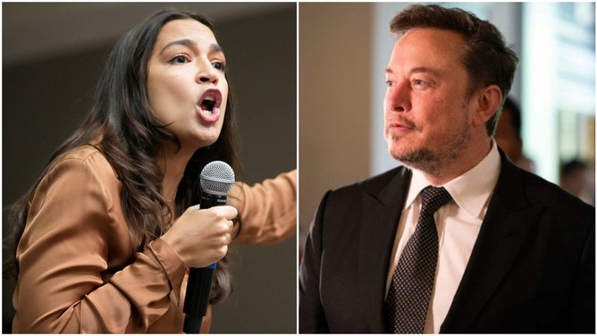 Alexandria Ocasio-Cortez called Elon Musk "one of the most unintelligent billionaires" she had ever met, which led to social media crushing her terrible opinion.