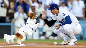 Shohei Ohtani Wore Custom Cleats Honoring His Dog, Decoy, For Tokyo Series