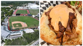 BASEBALL STADIUM FOOD