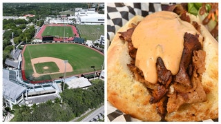 BASEBALL STADIUM FOOD