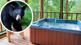 Black Bear Helps Itself To A Soak In The Jacuzzi At Smoky Mountain Vacation Cabin