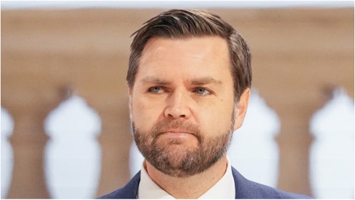 Vice President JD Vance blasted Ukraine protesters after they allegedly harassed his child. Watch the exchange. (Credit: Getty Images)