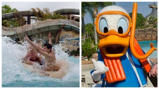 DISNEY TYPHOON LAGOON