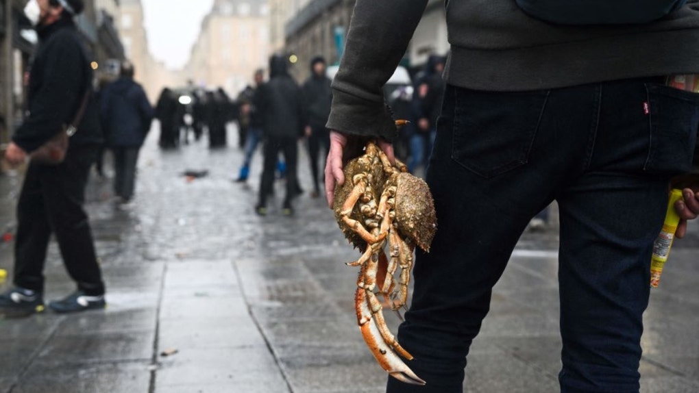 Where do we all stand on air frying some very alive crabs?