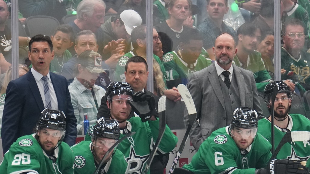 dallas stars superfan natalie gauvreau boobs behind dallas stars bench game 7