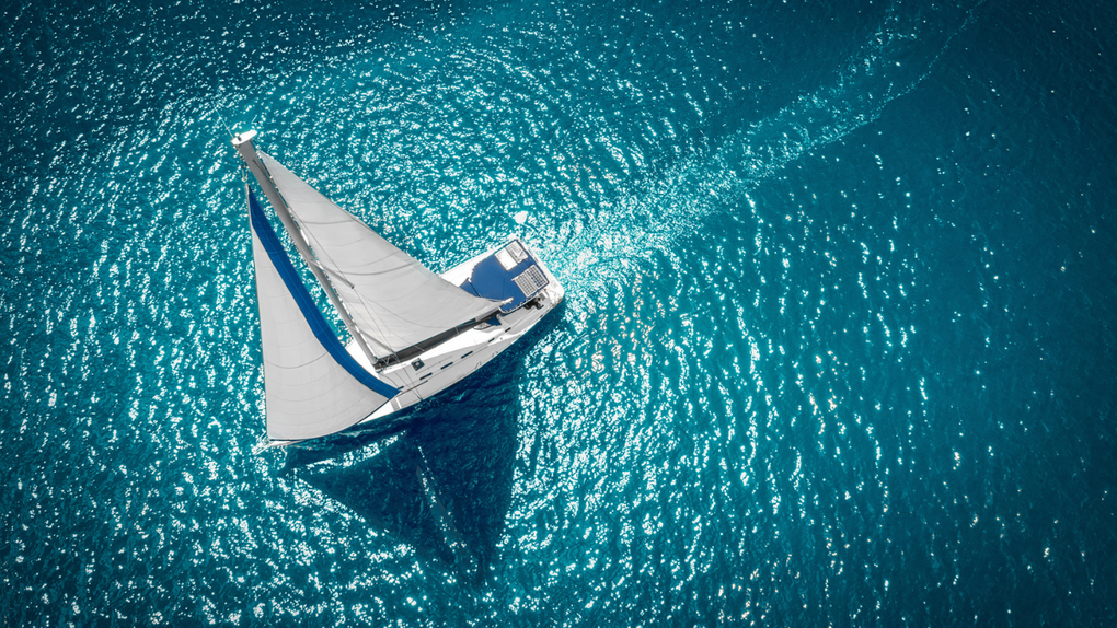 Man Who Quit His Job To Sail Around The World With His Cat Has Landed In Hawaii