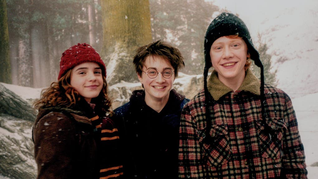 Harry Potter stars